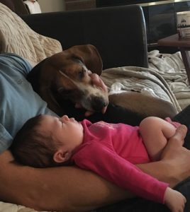 Dogs, babies, and Friends